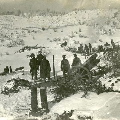 12028090295 B113972c4a C